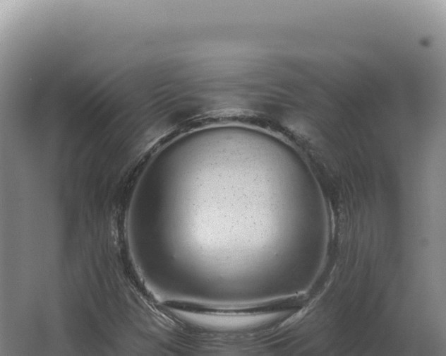 X0000068311305200604281725