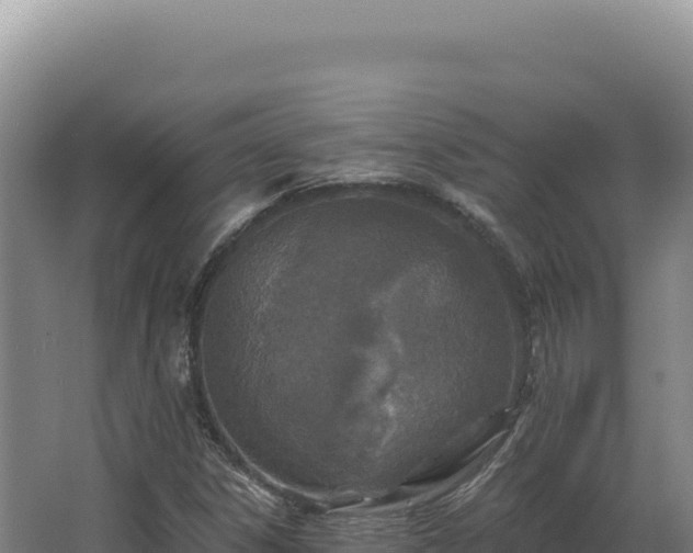 X0000068311306200604281725