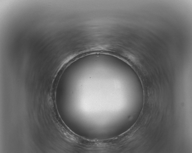 X0000068311308200604281725