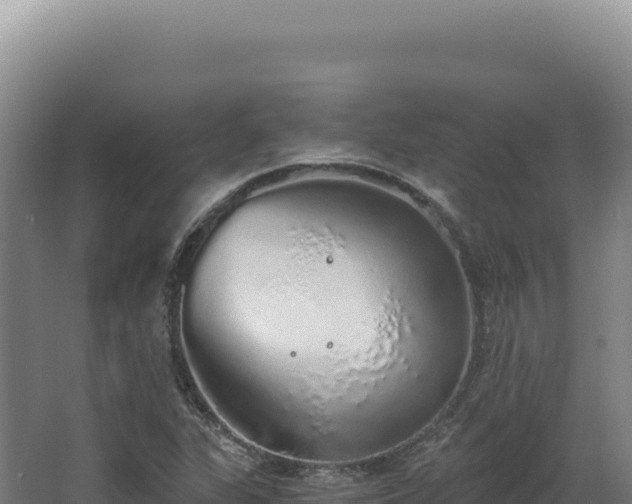 X0000068311311200604281725