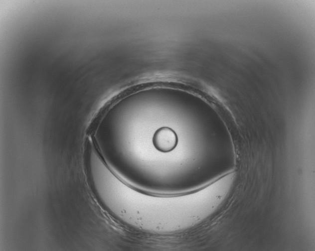 X0000068311312200604281725