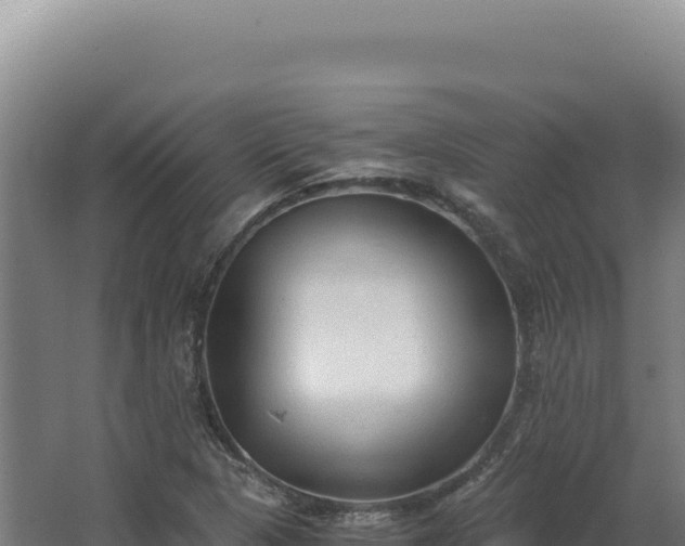 X0000068311313200604281725