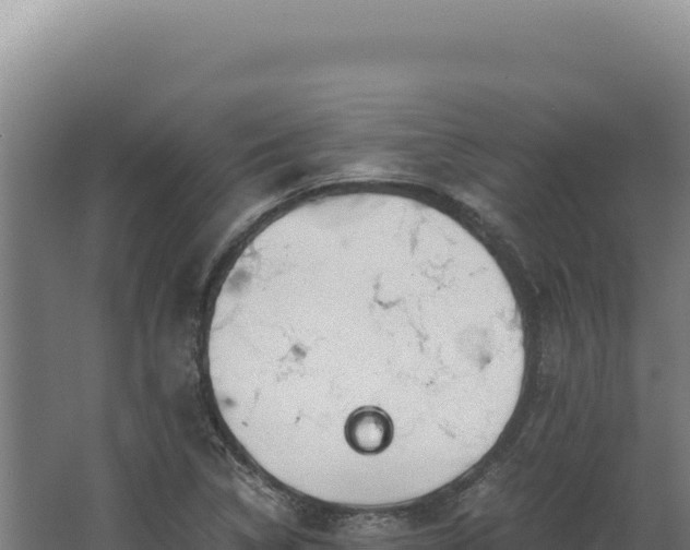 X0000068311314200604281725