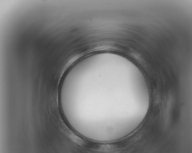 X0000068311322200604281725