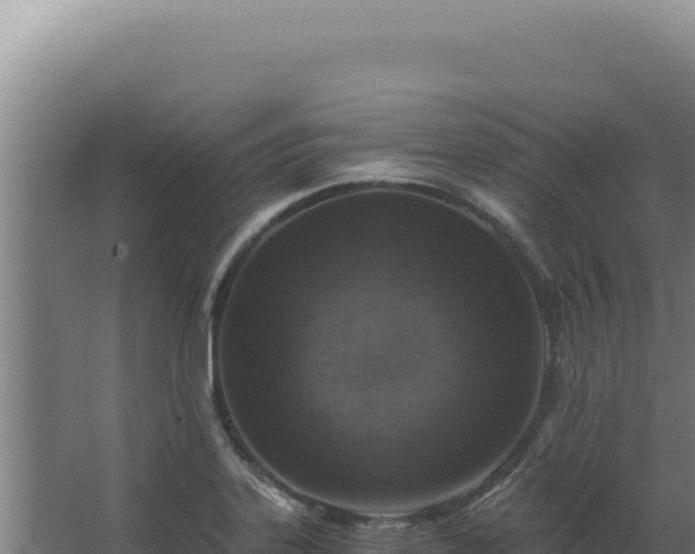 X0000068311323200604281725