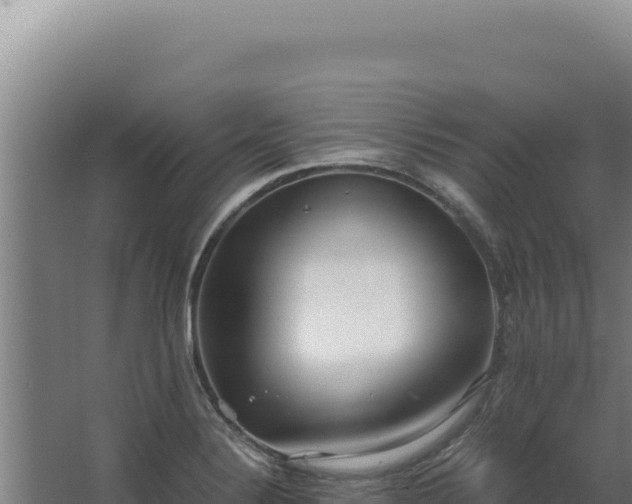 X0000068311324200604281725