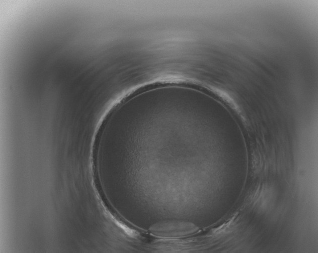 X0000068311327200604281725