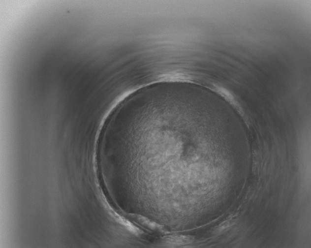 X0000068311331200604281725