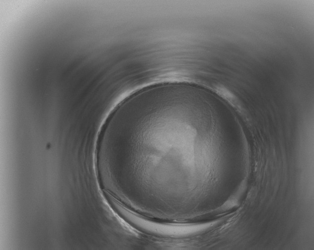 X0000068311334200604281725