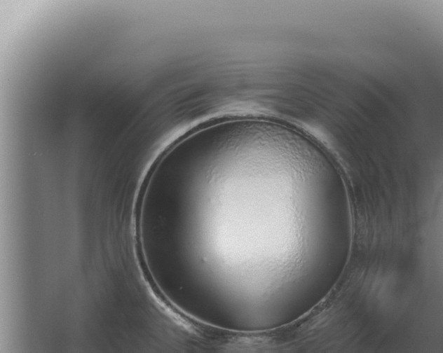 X0000068311335200604281725