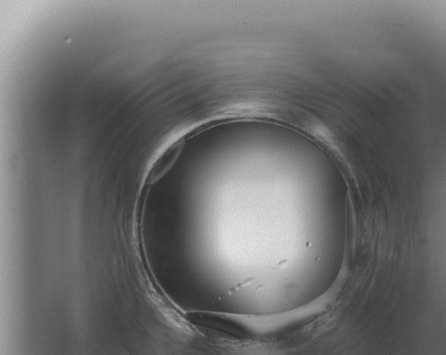 X0000068311336200604281725