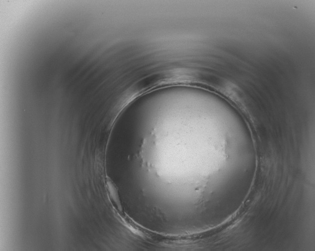 X0000068311337200604281725