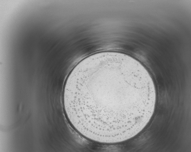 X0000068311338200604281725