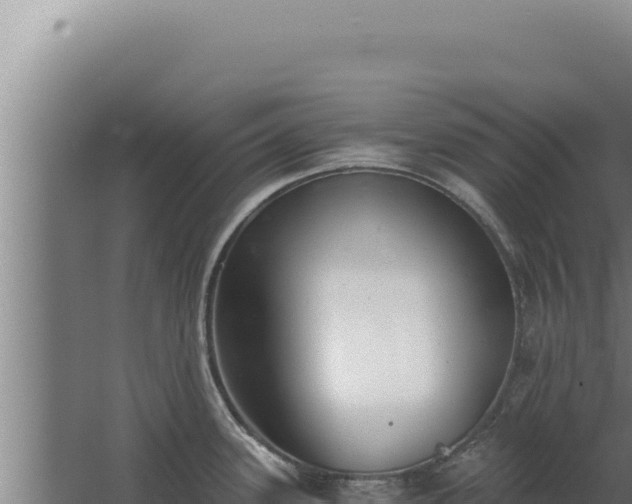 X0000068311339200604281725