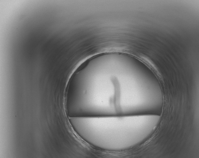 X0000068311340200604281725