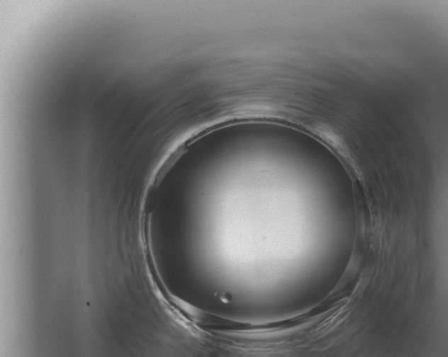 X0000068311342200604281725