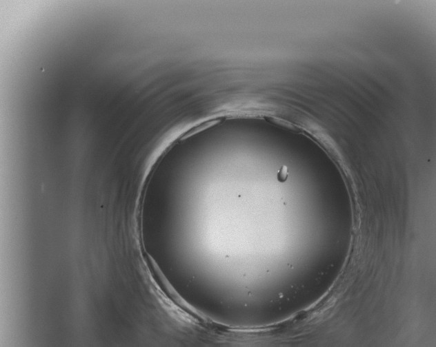 X0000068311344200604281726