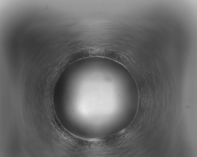 X0000068311345200604281725