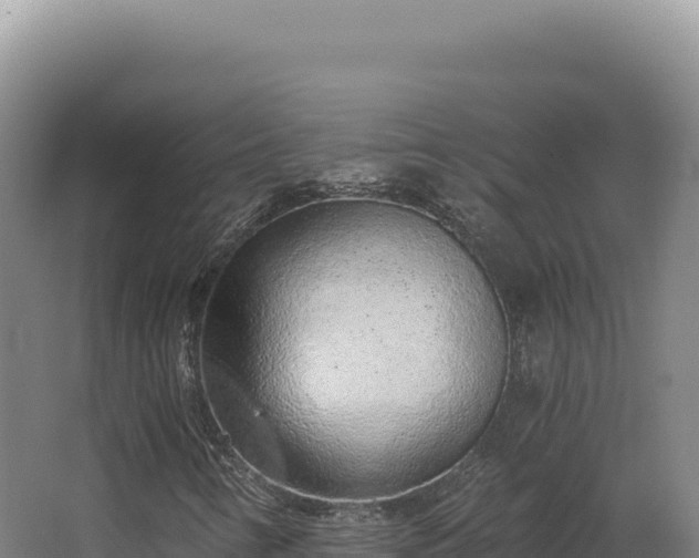 X0000068311346200604281725