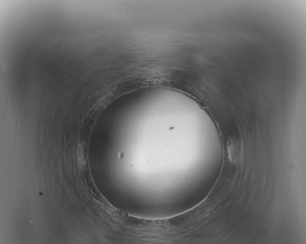 X0000068311347200604281725