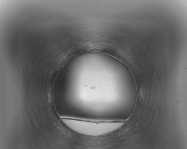 X0000068311348200604281725