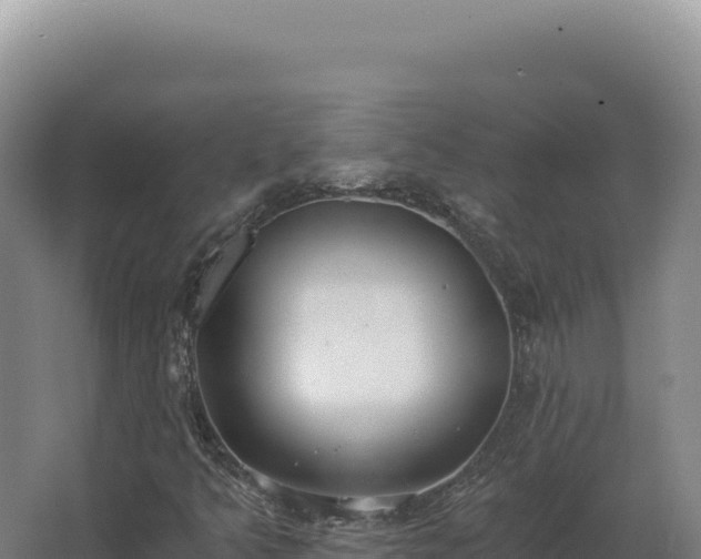 X0000068311349200604281725