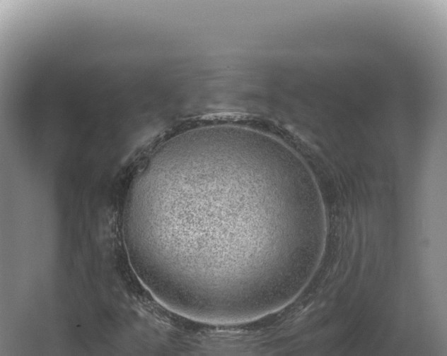 X0000068311351200604281725