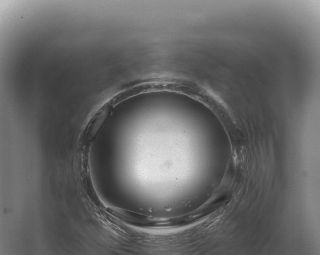 X0000068311352200604281725