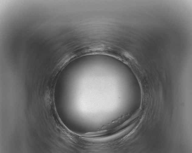 X0000068311353200604281725