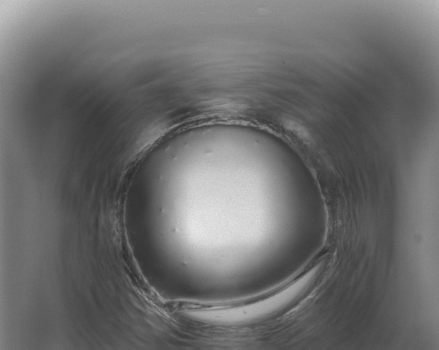 X0000068311354200604281725