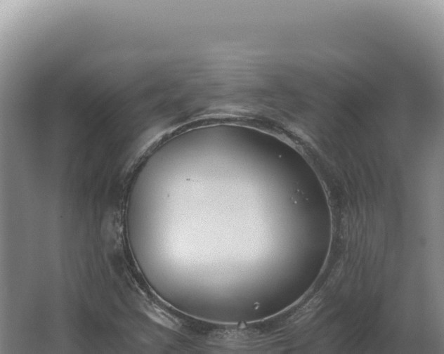 X0000068311355200604281725