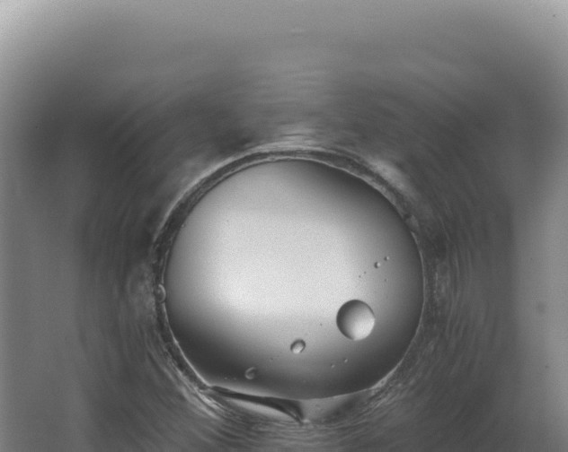 X0000068311356200604281725