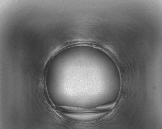 X0000068311357200604281725