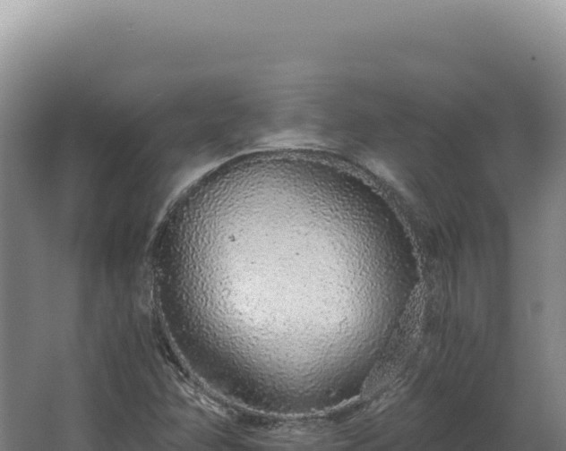 X0000068311358200604281724