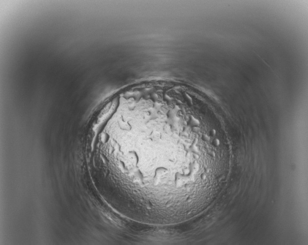 X0000068311359200604281724