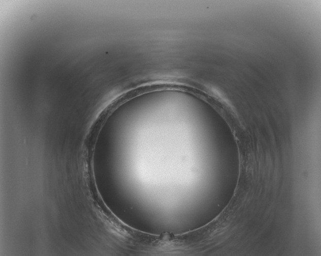 X0000068311360200604281724