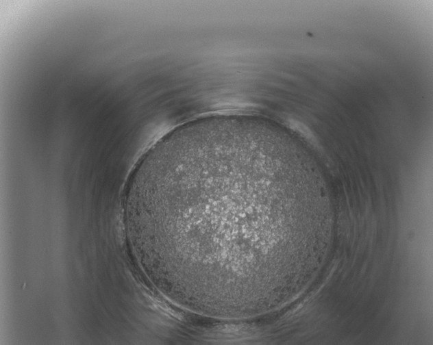 X0000068311362200604281724