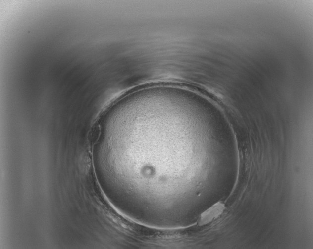 X0000068311363200604281724