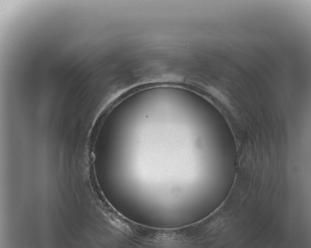 X0000068311364200604281724