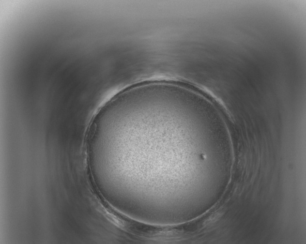 X0000068311367200604281724