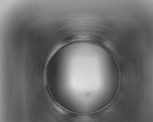 X0000068311370200604281724