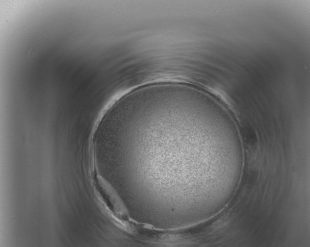 X0000068311371200604281724