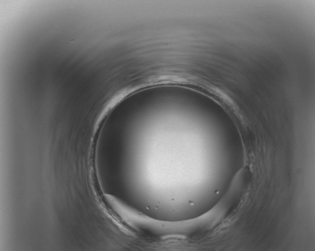 X0000068311373200604281724