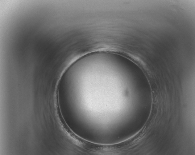 X0000068311375200604281724