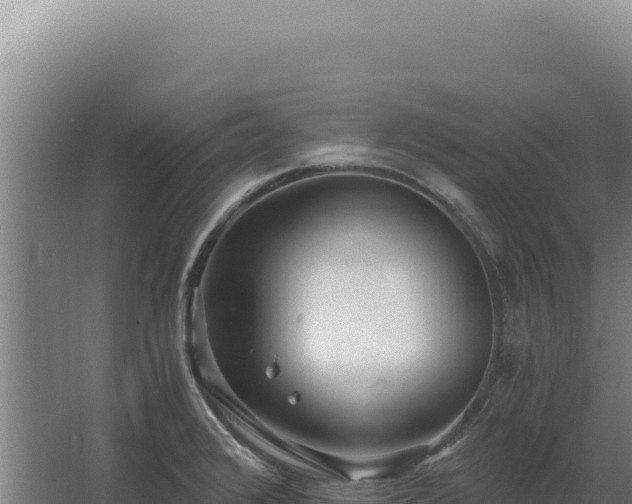 X0000068311376200604281724