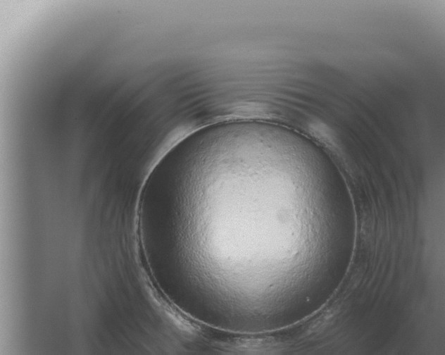 X0000068311378200604281724