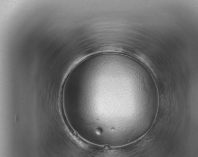 X0000068311379200604281724