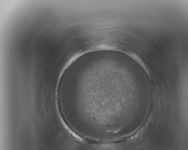 X0000068311381200604281724