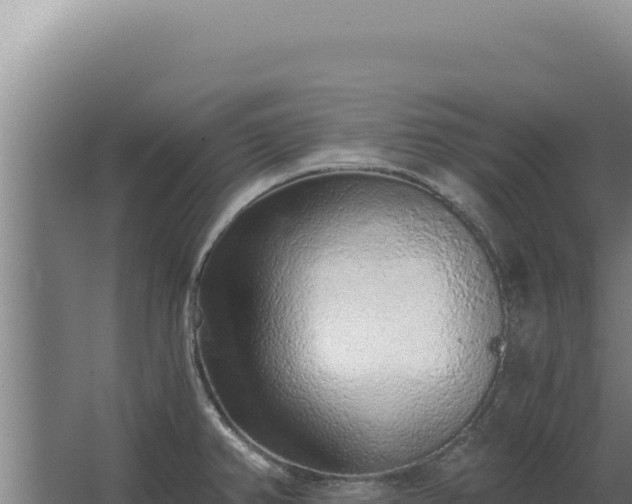 X0000068311382200604281724