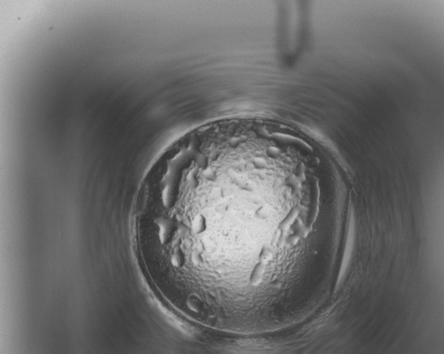 X0000068311383200604281724